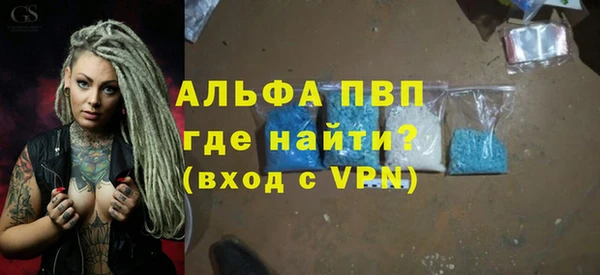гашик Гусев