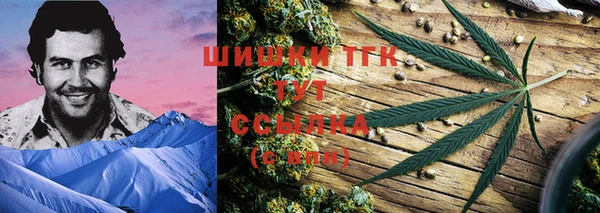 гидропоника Гусь-Хрустальный