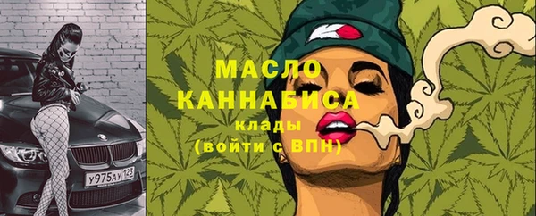 гашик Гусев