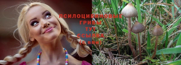 гидропоника Гусь-Хрустальный