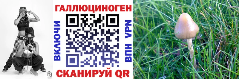 Псилоцибиновые грибы Magic Shrooms  Циолковский 